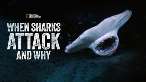 When Sharks Attack... and Why still