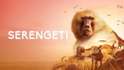 Serengeti still