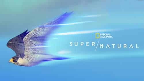 Super/Natural still