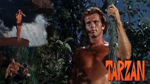 Tarzan still