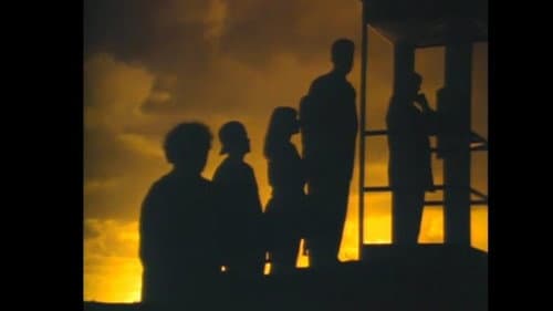 Mr. Petrified Forrest still