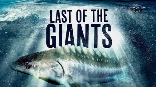 Last of the Giants still