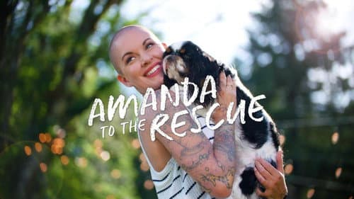 Amanda to the Rescue still