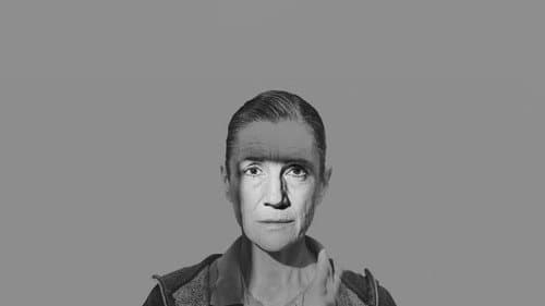 The Tempest still