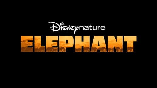 In the Footsteps of Elephant still