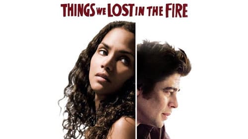 Things We Lost in the Fire still