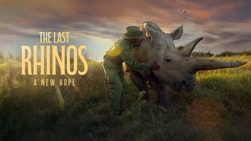 The Last Rhinos: A New Hope still