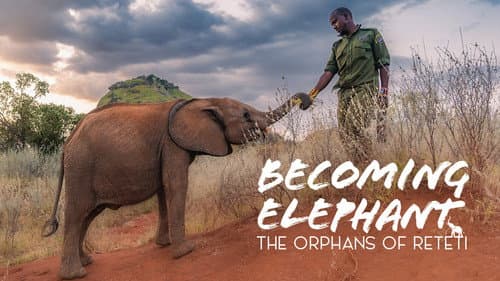 Becoming Elephant: The Orphans Of Reteti still