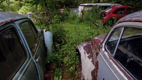 The Bug: Life and Times of the People's Car still