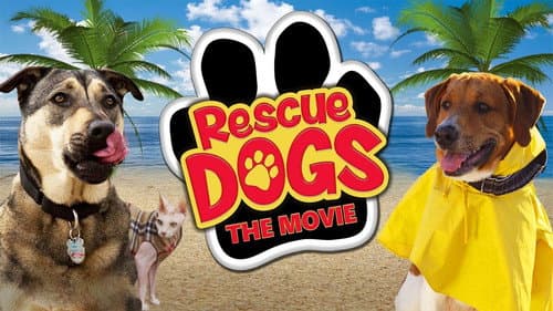 Rescue Dogs still