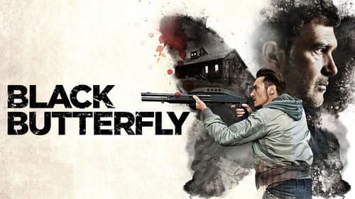 Black Butterfly still
