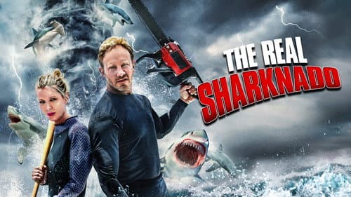 The Real Sharknado still