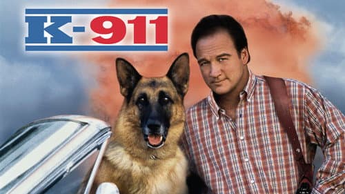 K-911 still