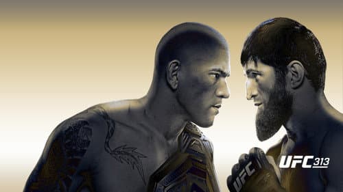 UFC 313: Pereira vs. Ankalaev still