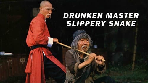 Mad Mad Kung Fu still