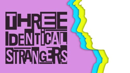 Three Identical Strangers still