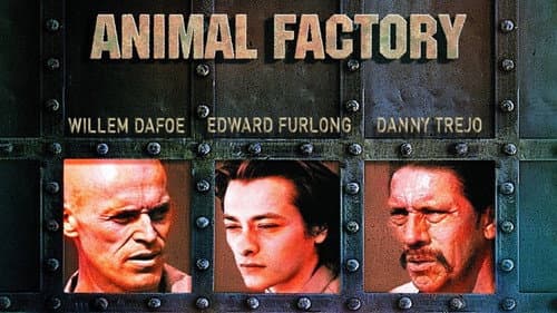 Animal Factory still