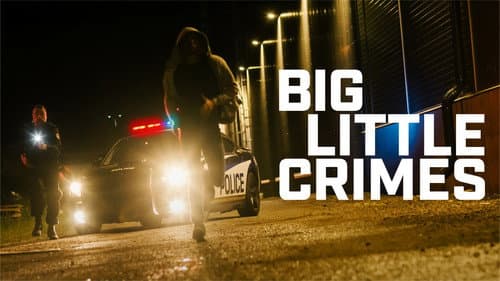 Big Little Crimes still
