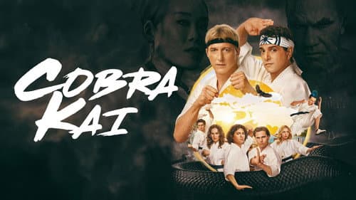 Cobra Kai still