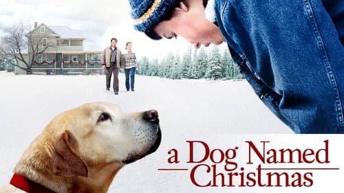 A Dog Named Christmas still