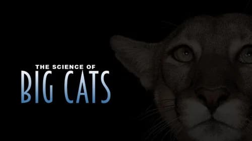 Big Cats still