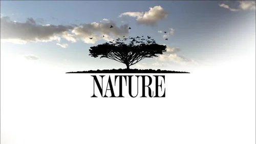 Nature still