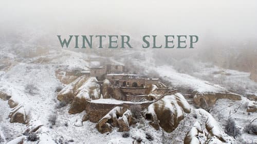 Winter Sleep still