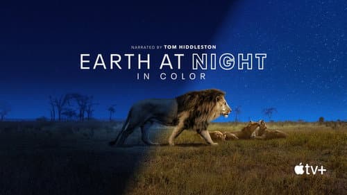 Earth at Night in Colour still
