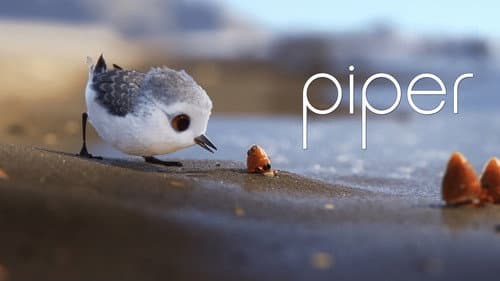 Piper still