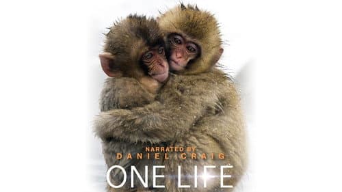 One Life still