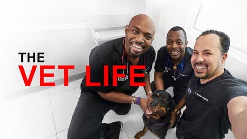 The Vet Life still