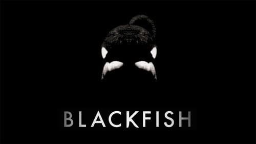 Blackfish still