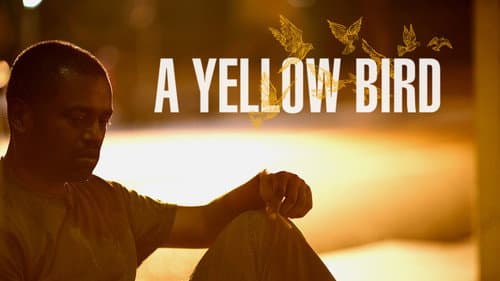 A Yellow Bird still