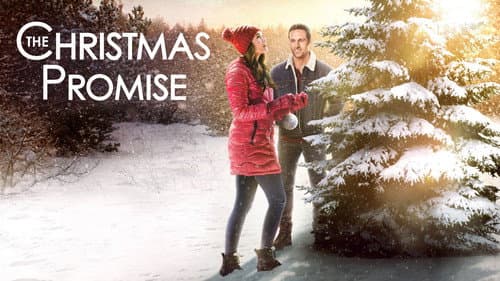 The Christmas Promise still