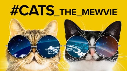 #cats_the_mewvie still
