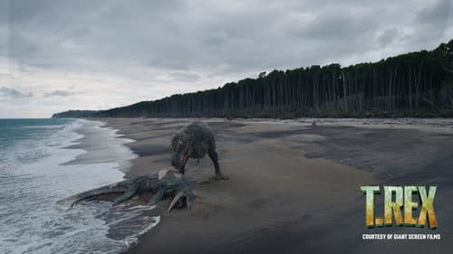 T. REX still