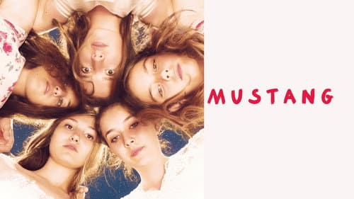 Mustang still