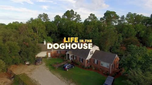 Life in the Doghouse still