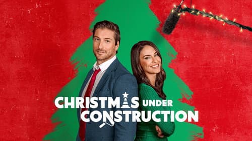 Renovation Romance still