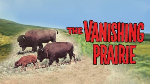The Vanishing Prairie still