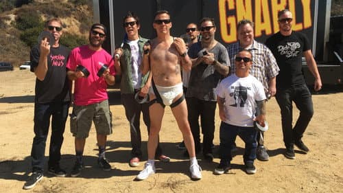 Steve-O: Gnarly still