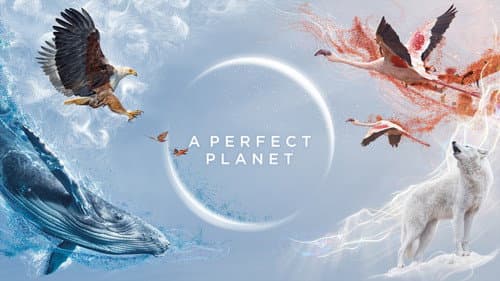 A Perfect Planet still