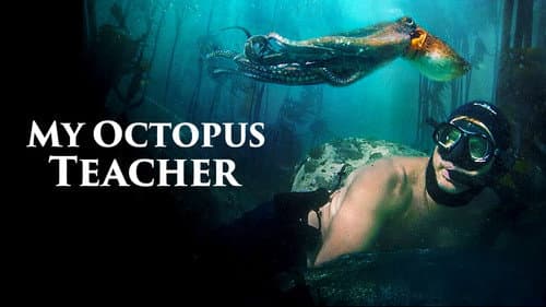 My Octopus Teacher still