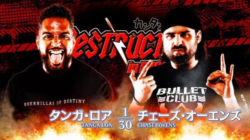 NJPW Destruction In Ryogoku 2023 still
