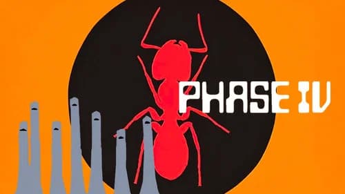 Phase IV still