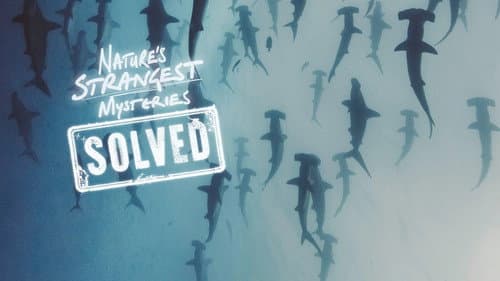 Nature's Strangest Mysteries: Solved still