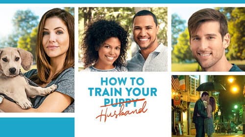 How to Train Your Husband still
