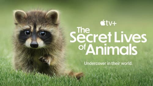 The Secret Lives of Animals still