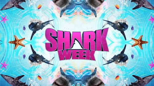 Shark Week still