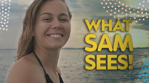 What Sam Sees still